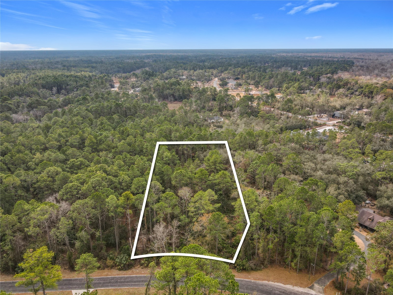 Apricot Avenue Eustis FL 32736 - LAKE NORRIS AND LAKE MARION TB8475273 image4