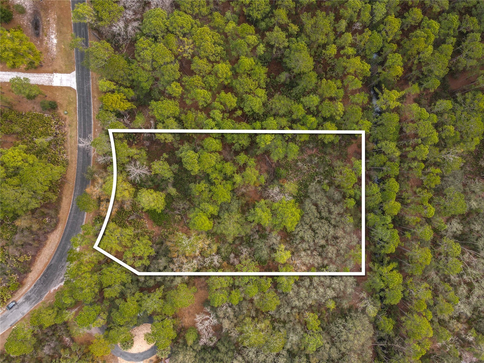 Apricot Avenue Eustis FL 32736 - LAKE NORRIS AND LAKE MARION TB8475273 image5