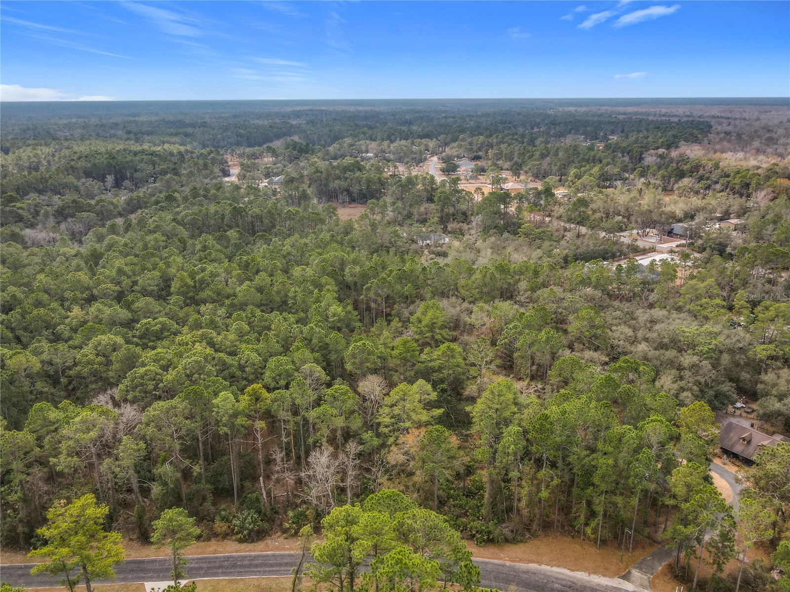 Apricot Avenue Eustis FL 32736 - LAKE NORRIS AND LAKE MARION TB8475273 image6
