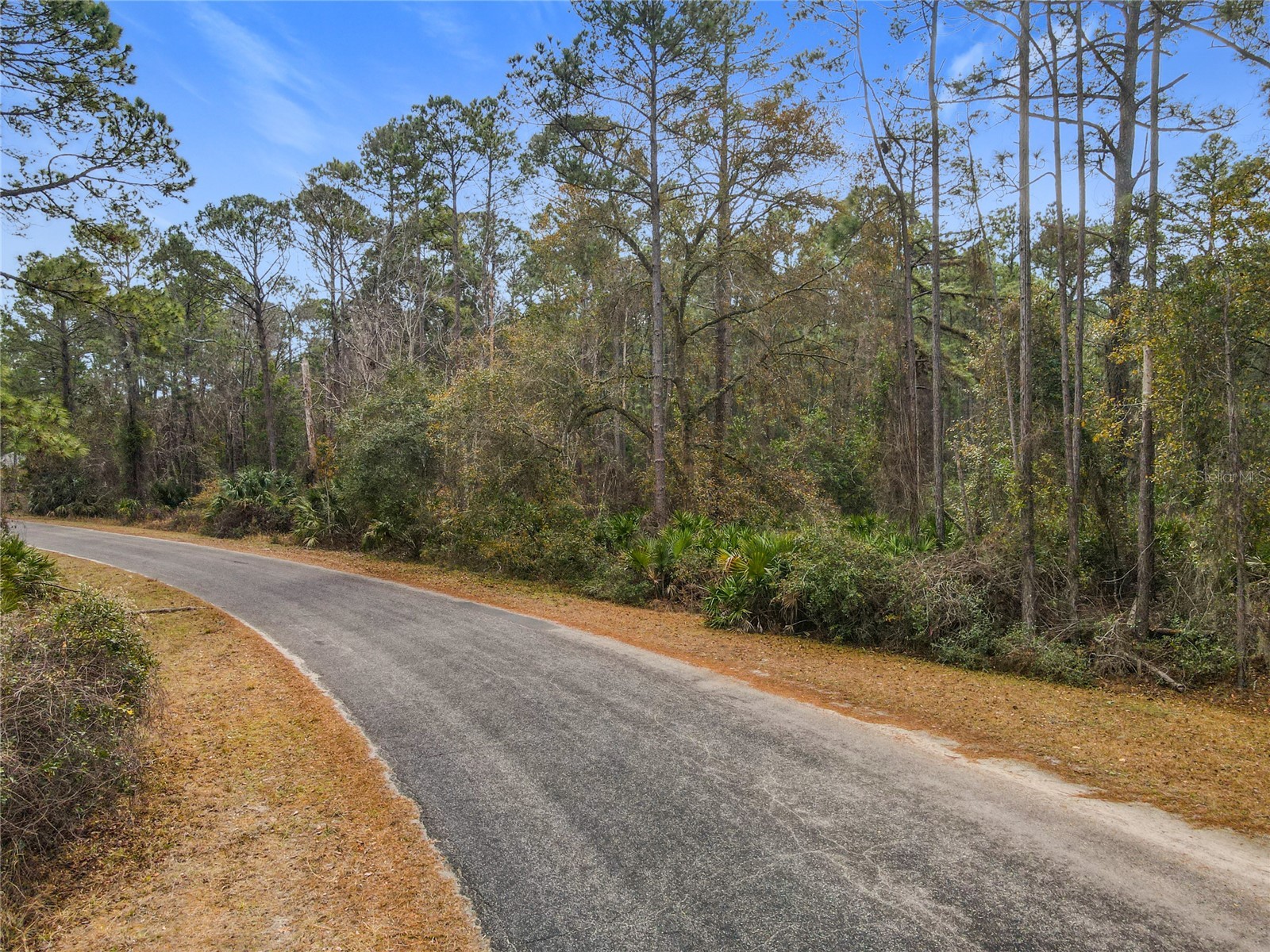Apricot Avenue Eustis FL 32736 - LAKE NORRIS AND LAKE MARION TB8475273 image8