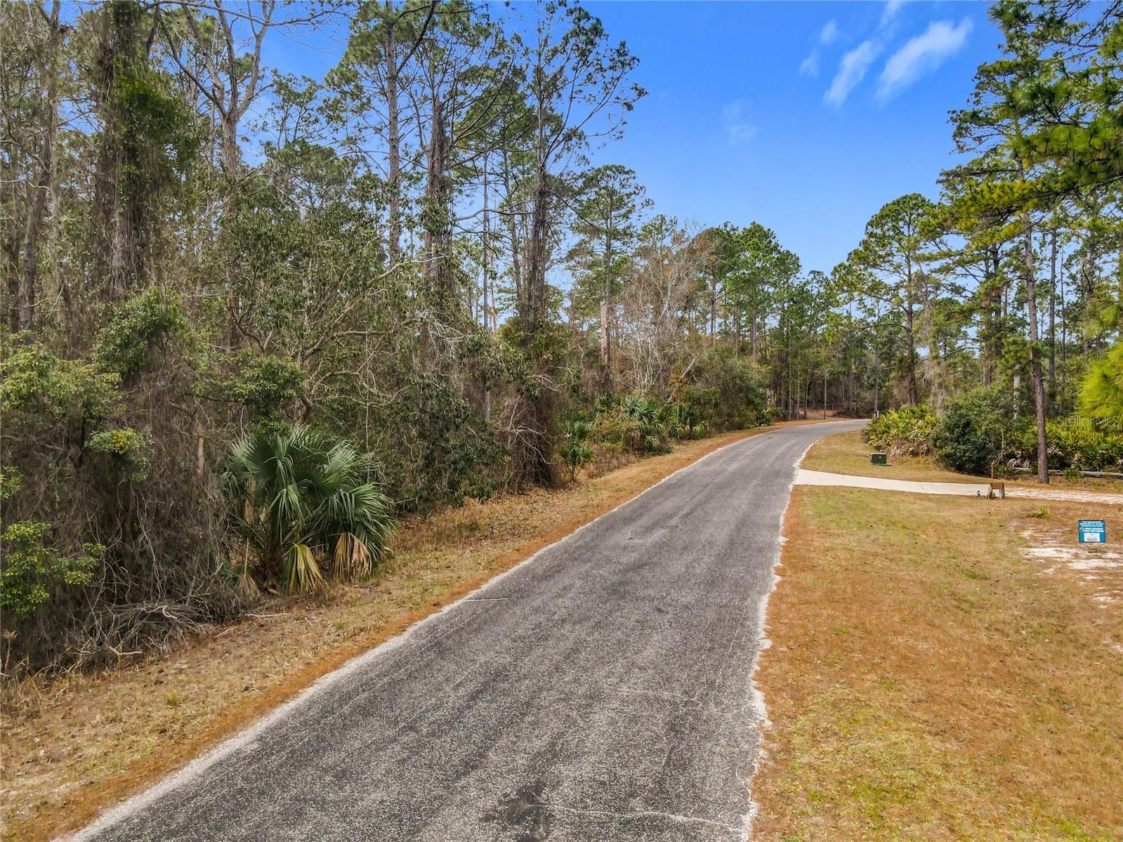 Apricot Avenue Eustis FL 32736 - LAKE NORRIS AND LAKE MARION TB8475273 image9