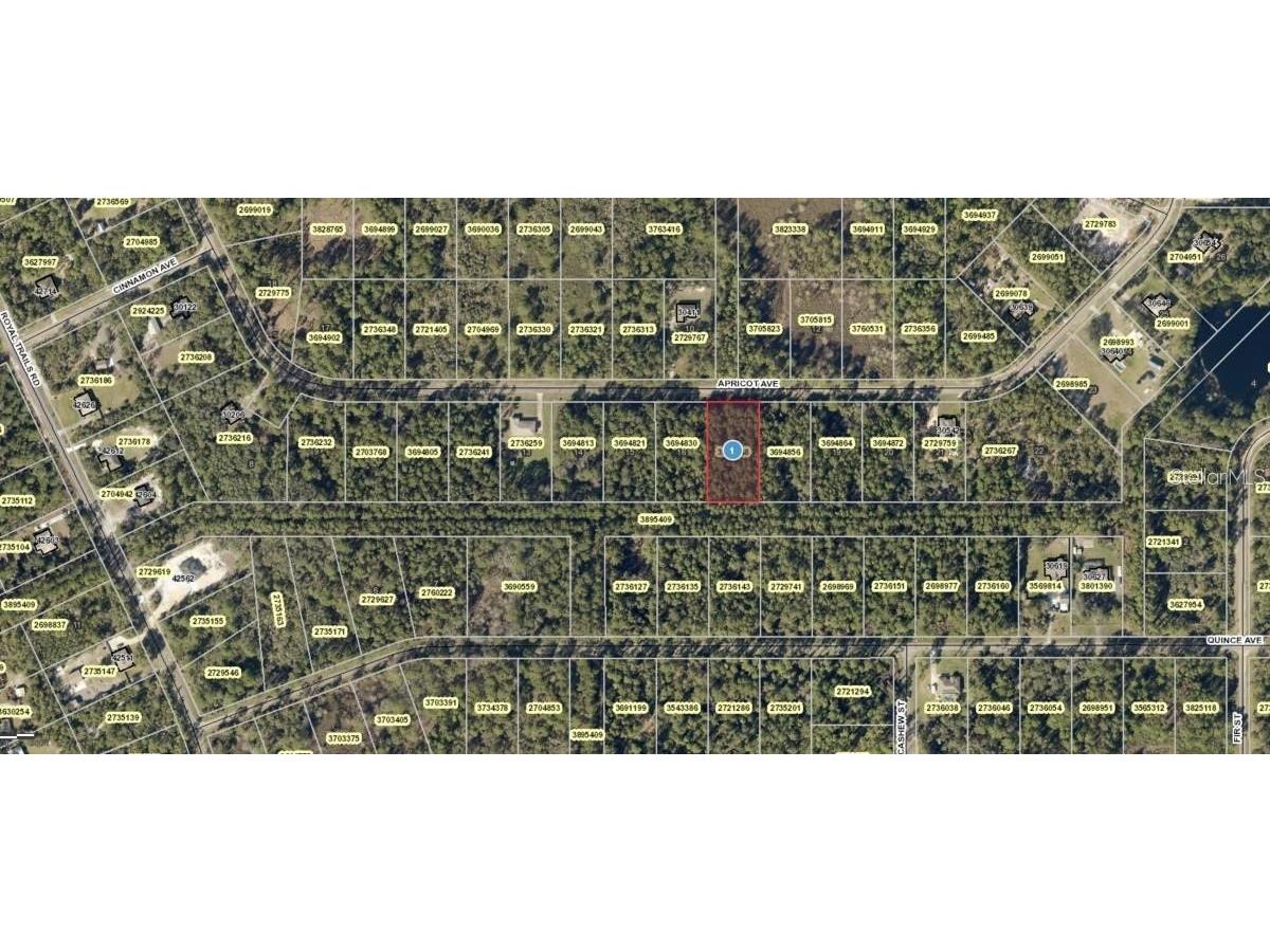 Apricot Avenue #LOT 17 Eustis FL 32736 O6291279 image1