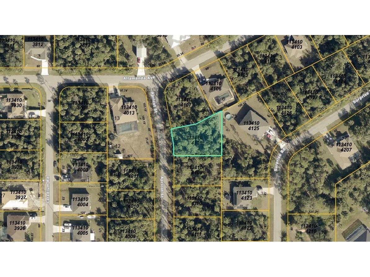 Apricot Street North Port FL 34288 C7523499 image1