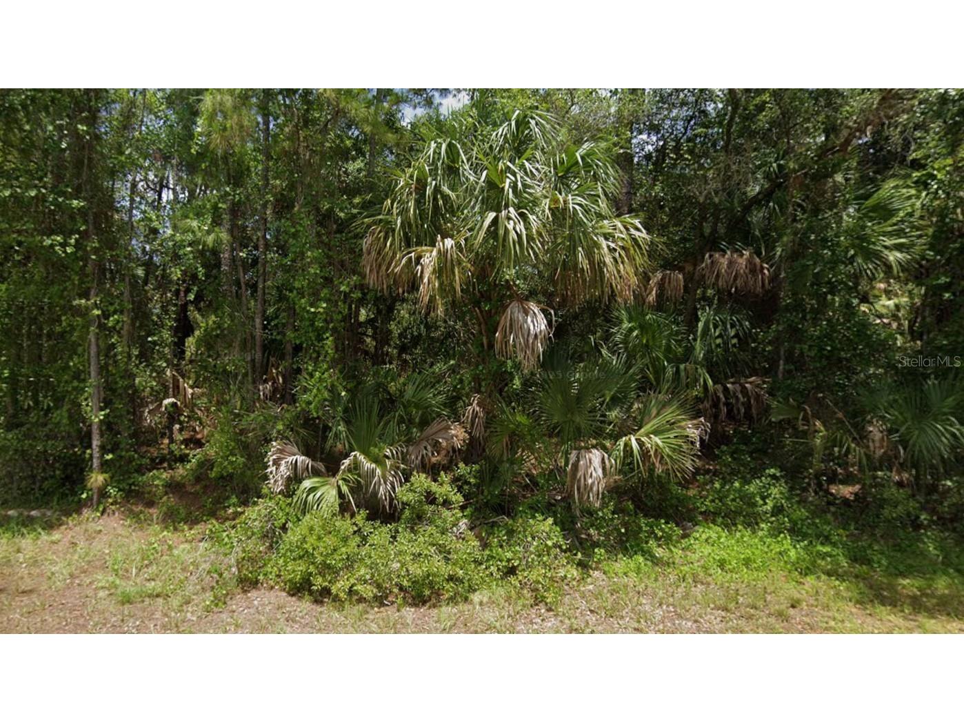 Apricot Street North Port FL 34288 C7523499 image2