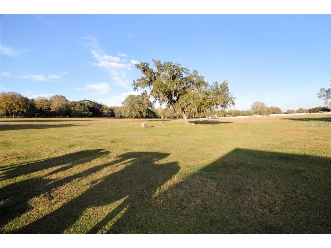 Arabian Way Dade City FL 33523 TB8442533 image1