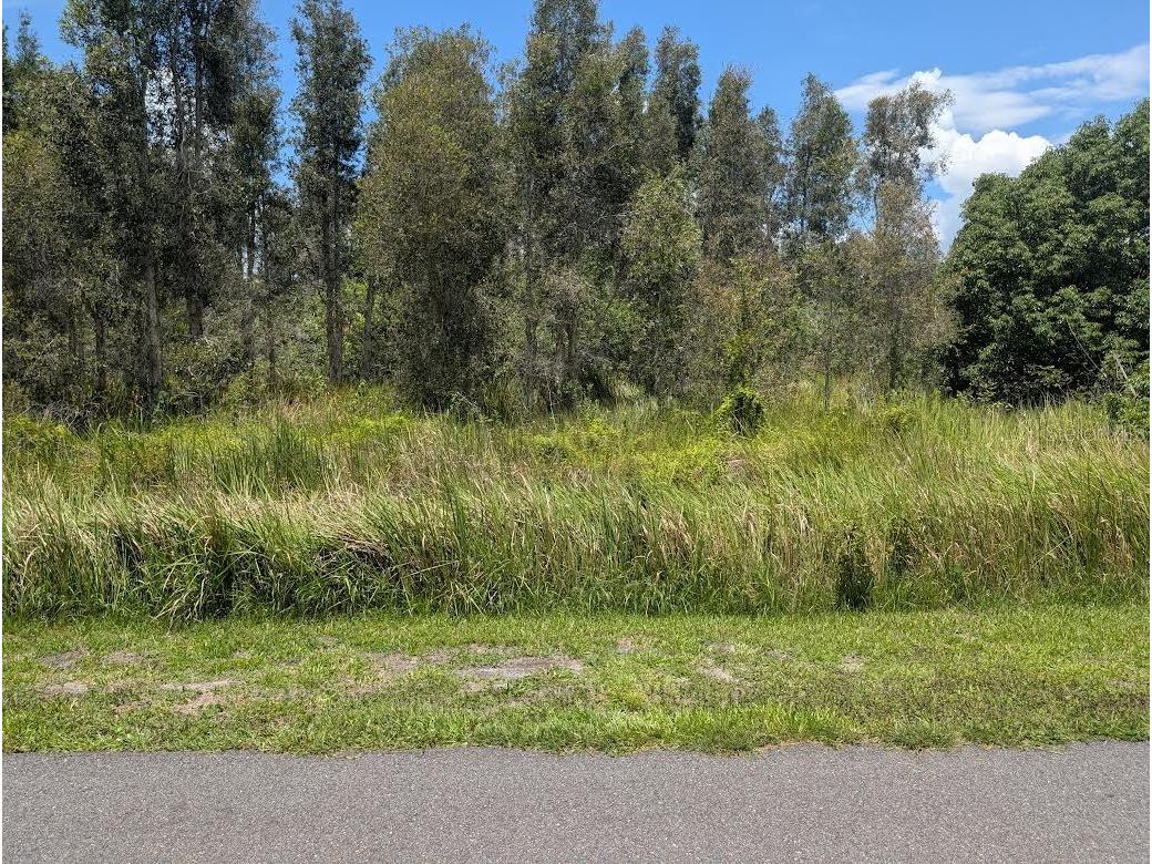 Arborea Drive N Indian Lake Estates FL 33855 - WALK IN WATER P4939047 image1