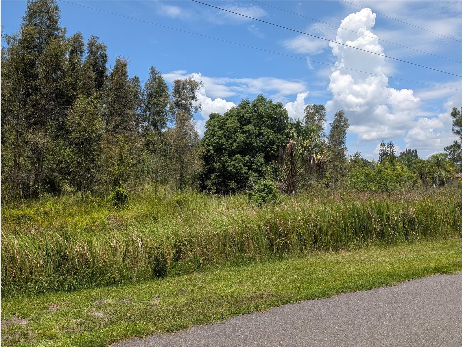 Arborea Drive N Indian Lake Estates FL 33855 - WALK IN WATER P4939047 image2