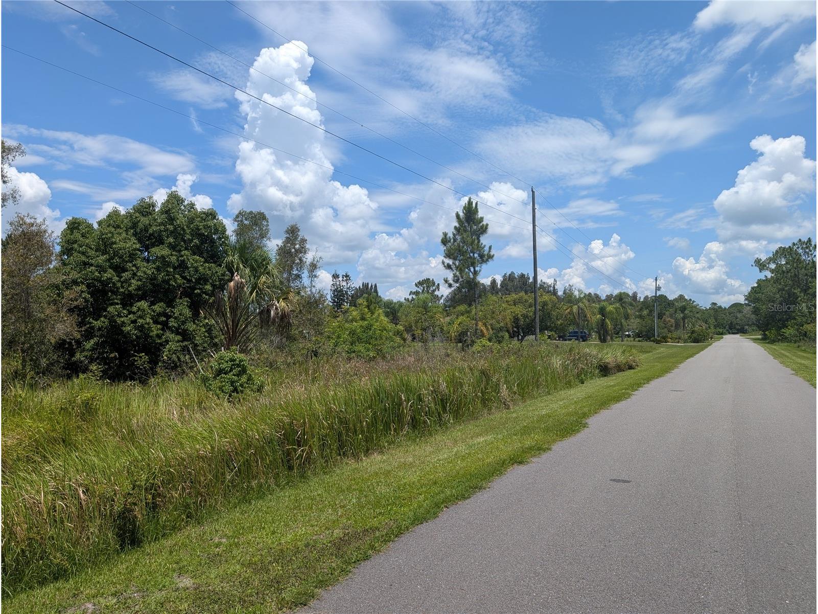 Arborea Drive N Indian Lake Estates FL 33855 - WALK IN WATER P4939047 image3