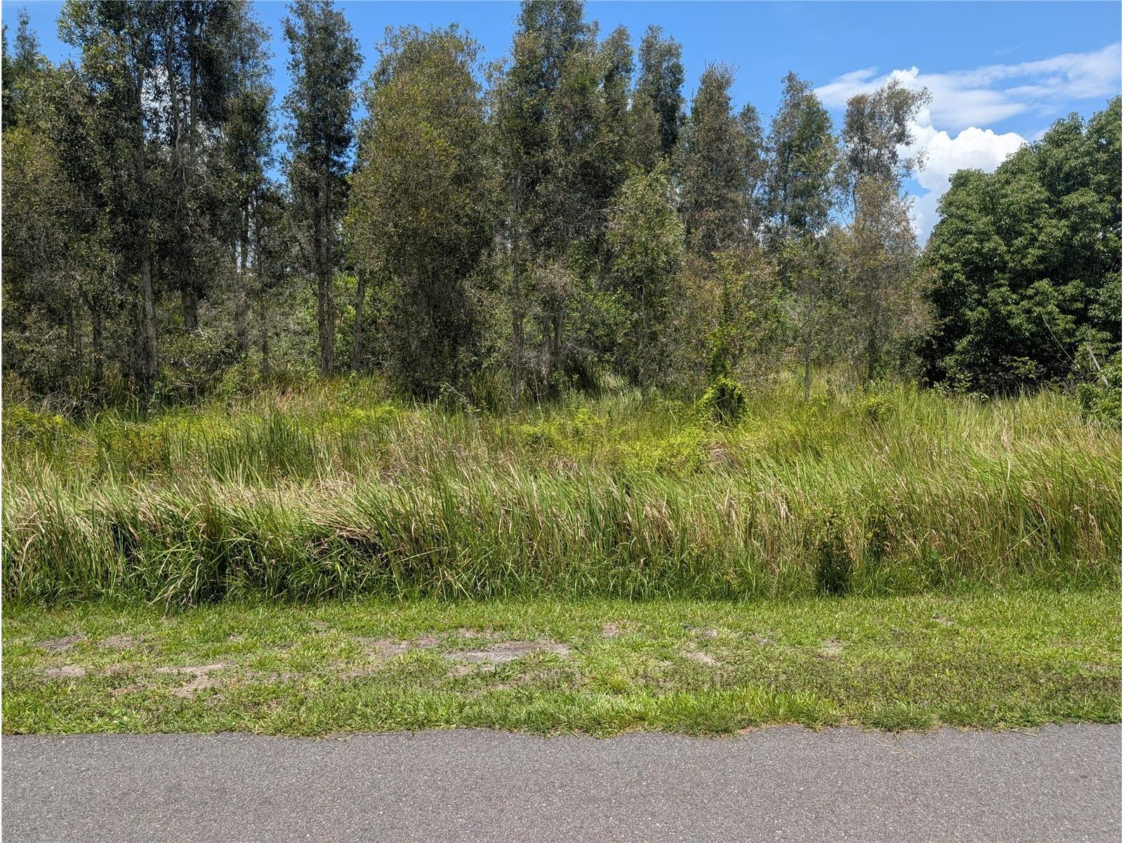 Arborea Drive N Indian Lake Estates FL 33855 - WALK IN WATER P4939047 image4