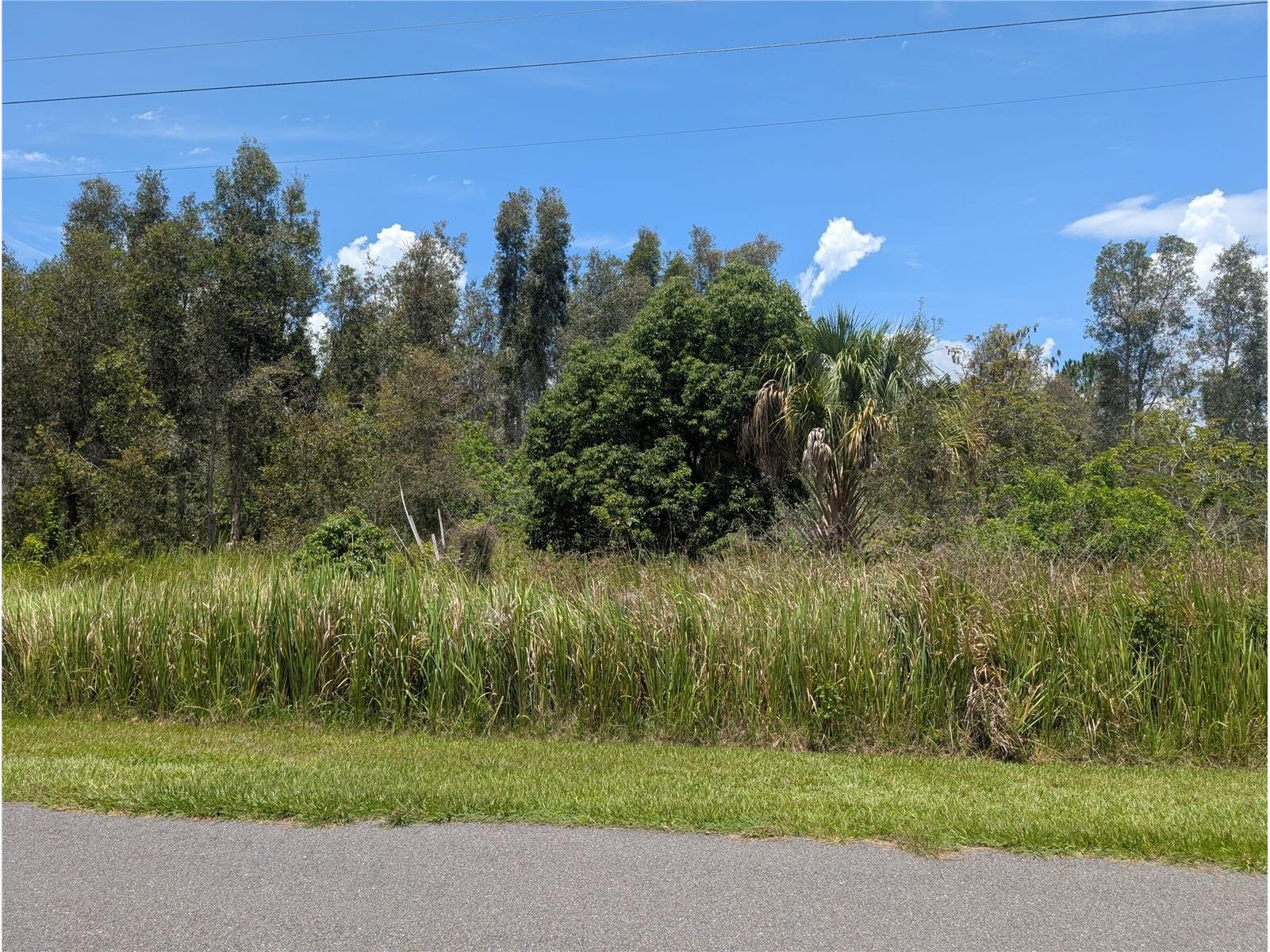 Arborea Drive N Indian Lake Estates FL 33855 - WALK IN WATER P4939047 image6