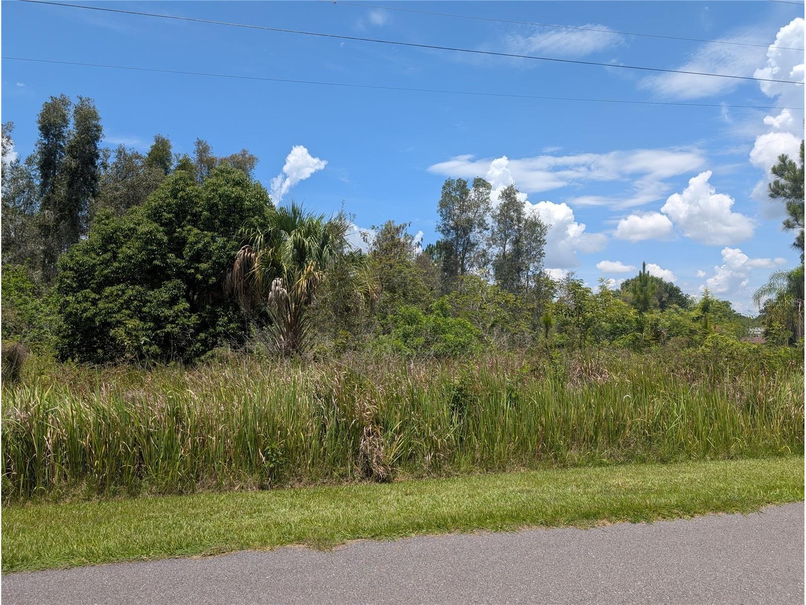 Arborea Drive N Indian Lake Estates FL 33855 - WALK IN WATER P4939047 image7