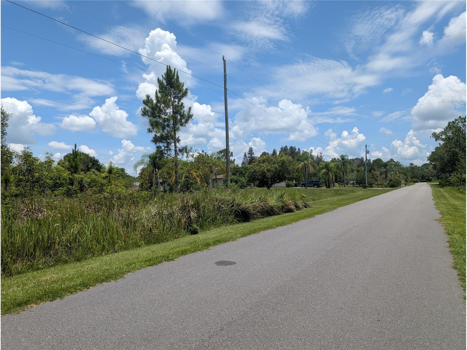 Arborea Drive N Indian Lake Estates FL 33855 - WALK IN WATER P4939047 image8