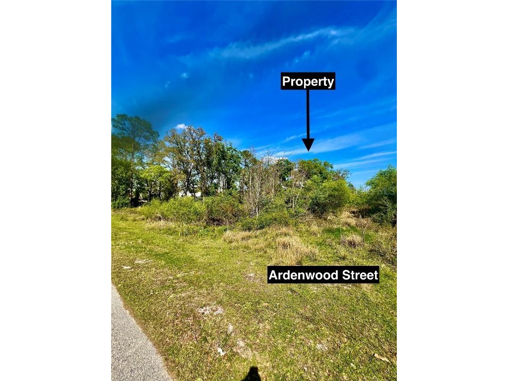 Ardenwood Street Tampa FL 33625 O6292613 image2