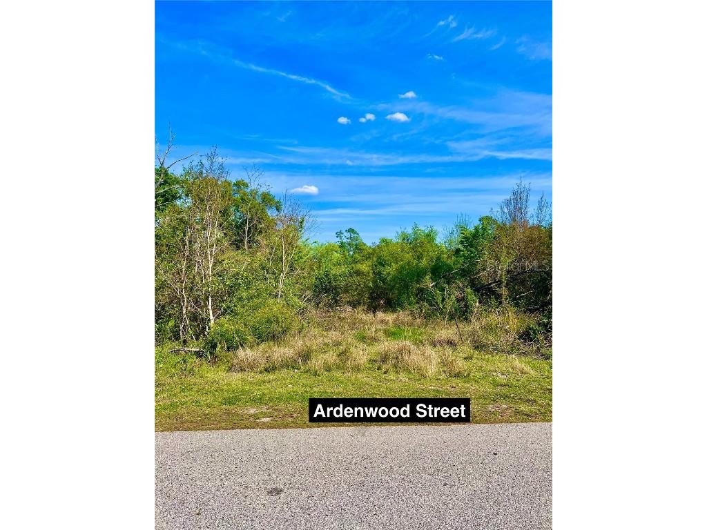 Ardenwood Street Tampa FL 33625 O6292613 image3