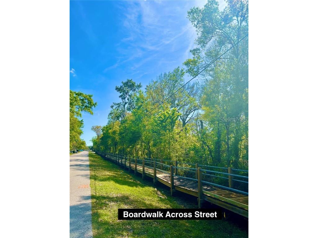 Ardenwood Street Tampa FL 33625 O6292613 image4