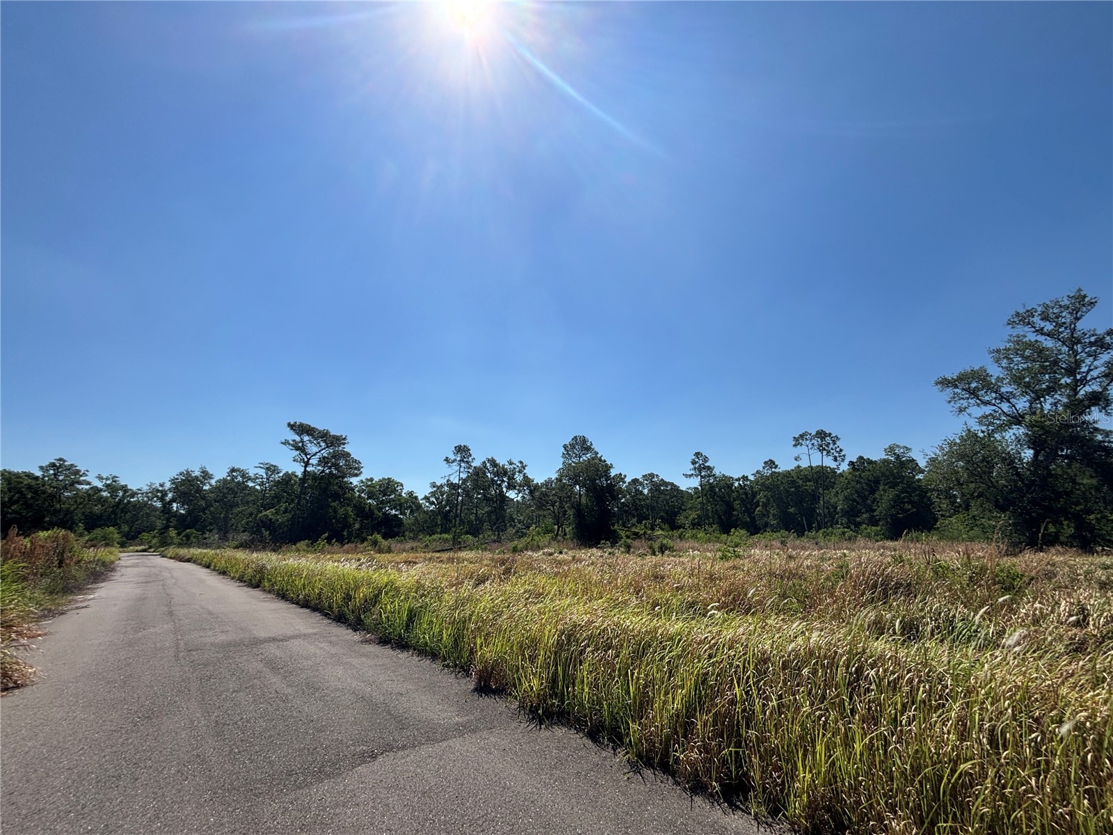 Ardenwood Tampa FL 33625 S5149127 image2