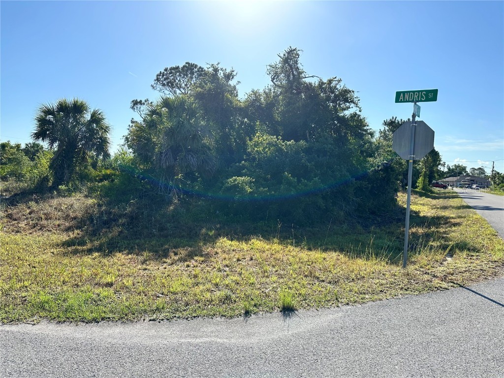 Argonne Court North Port FL 34288 N6139149 image2