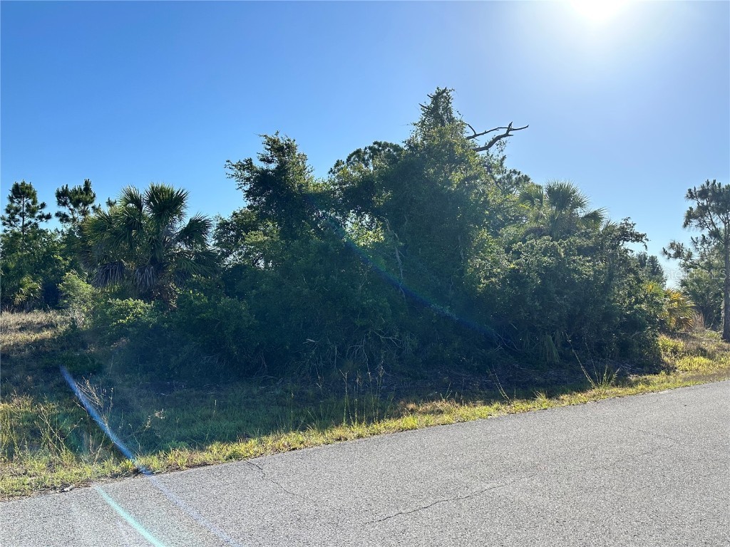 Argonne Court North Port FL 34288 N6139149 image5