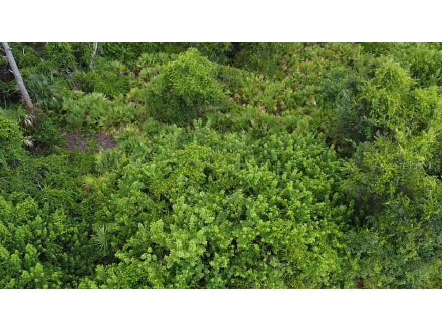 Argonne Court North Port FL 34288 TB8447879 image6