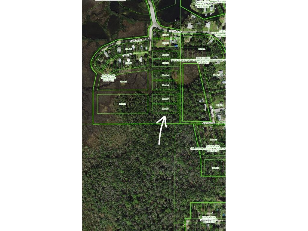 Aripeka Rd Hudson FL 34667 TB8312249 image2