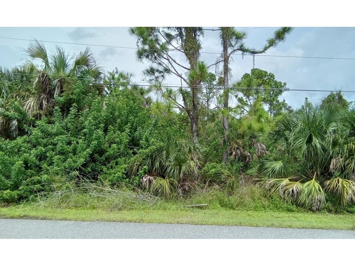 Ariton Road North Port FL 34288 O6160909 image1