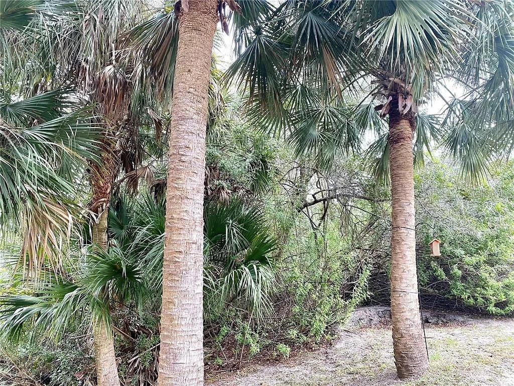 Arley Road North Port FL 34288 O6413634 image2