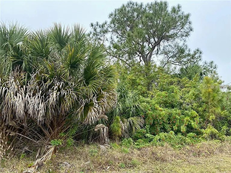 Arley Road North Port FL 34288 O6413634 image4