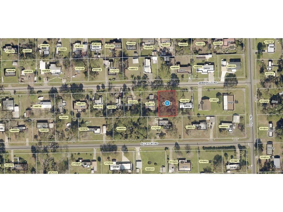 Armadillo Road Astor FL 32102 A4567116 image1