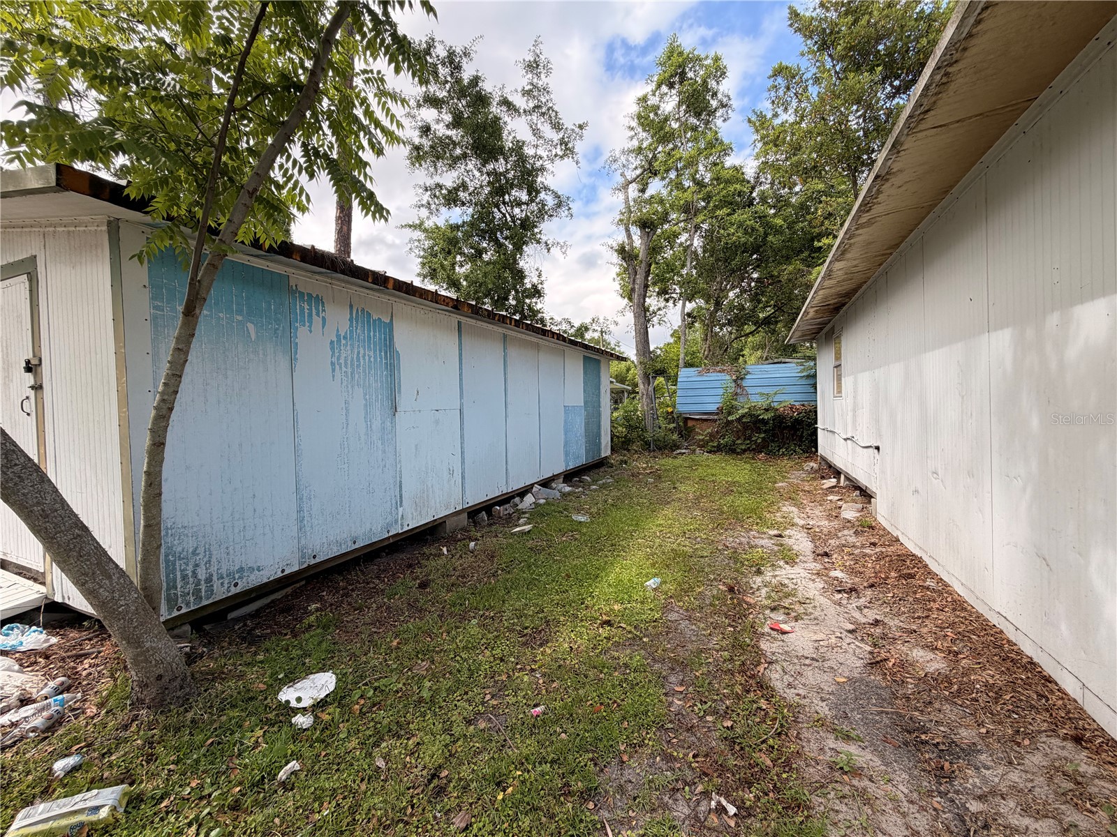 Armadillo Road Astor FL 32102 R4911153 image8