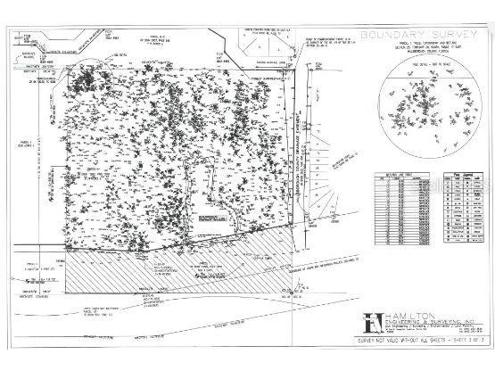 Armand Drive Tampa FL 33634 O6248574 image10