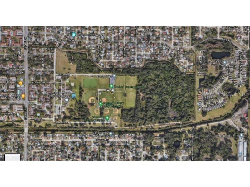 Armand Drive Tampa FL 33634 O6248574 image2