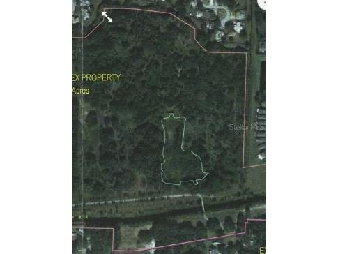 Armand Drive Tampa FL 33634 O6248574 image3