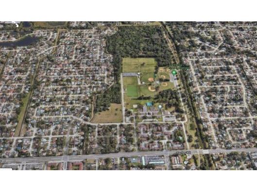 Armand Drive Tampa FL 33634 O6248574 image8