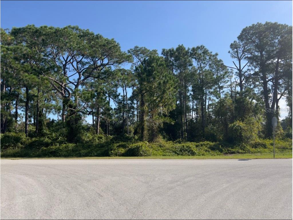 Arrowtree Boulevard Clermont FL 34715 O6152926 image1