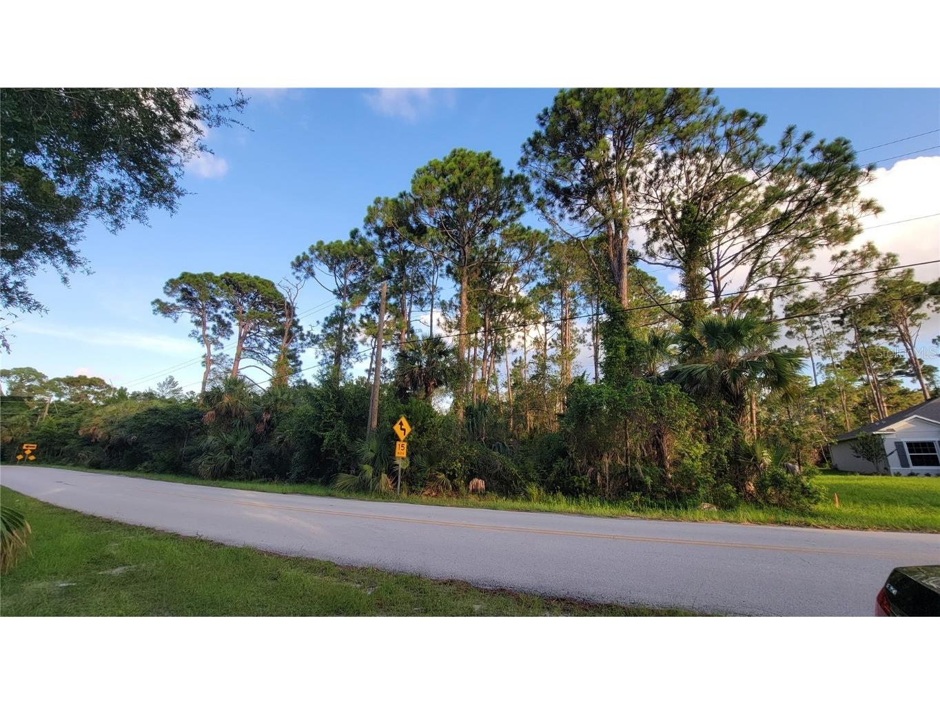 Arthur Edgewater FL 32141 O6131834 image1