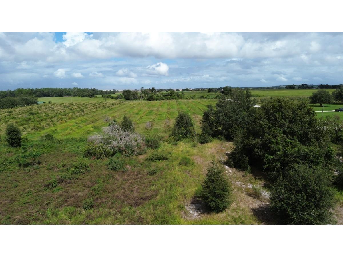 Artifact Drive Zephyrhills FL 33541 A4674556 image2