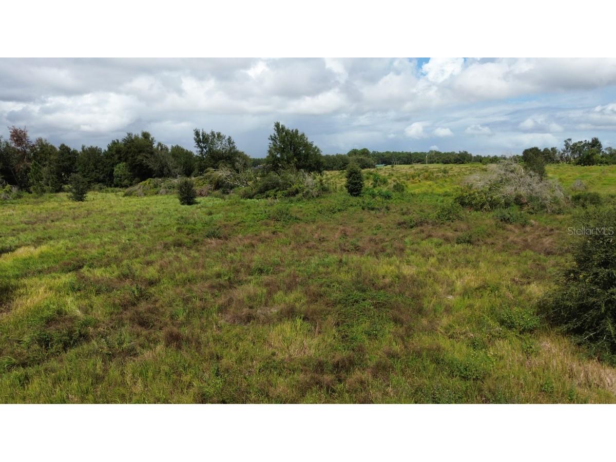 Artifact Drive Zephyrhills FL 33541 A4674556 image3