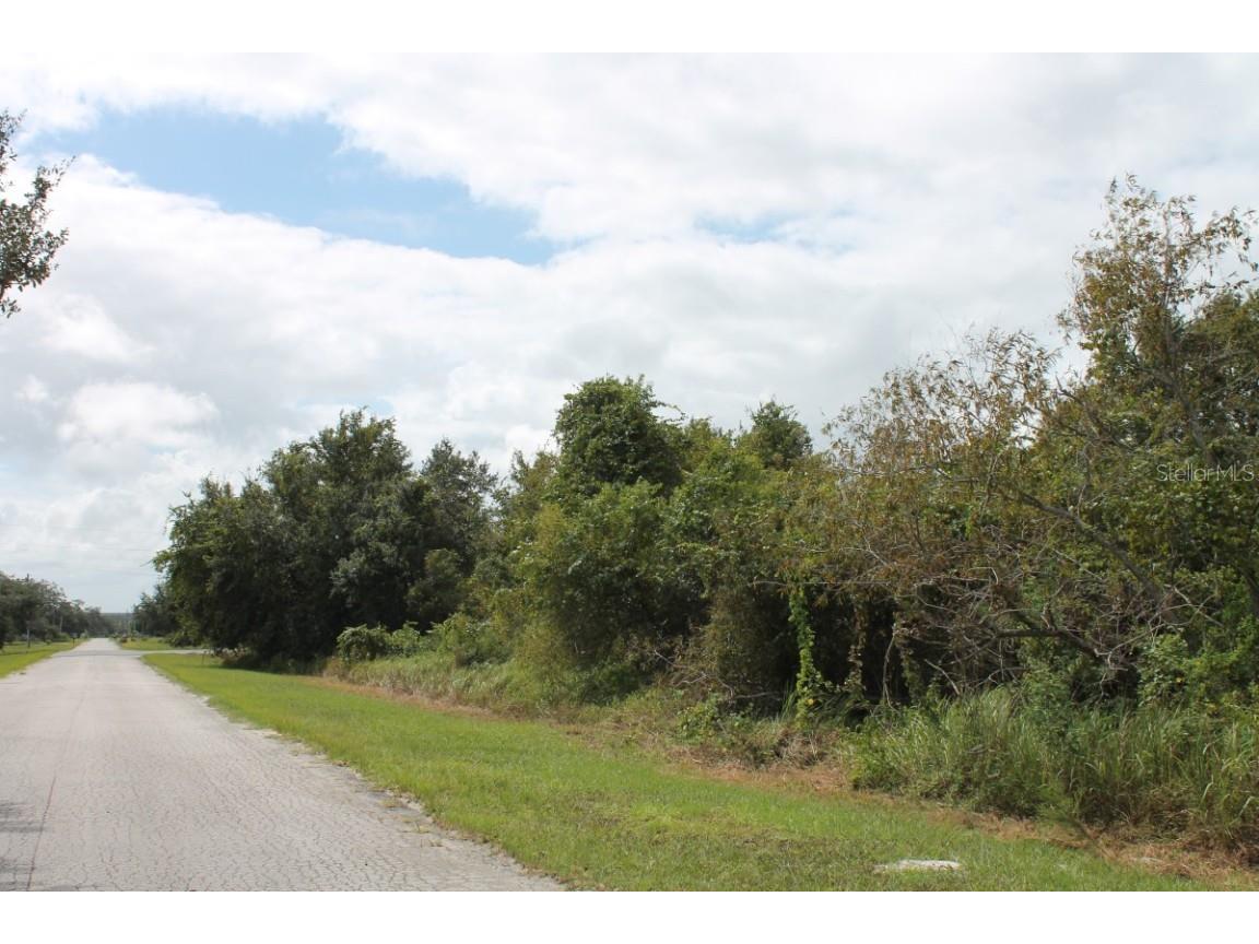 Artifact Drive Zephyrhills FL 33541 A4674556 image4