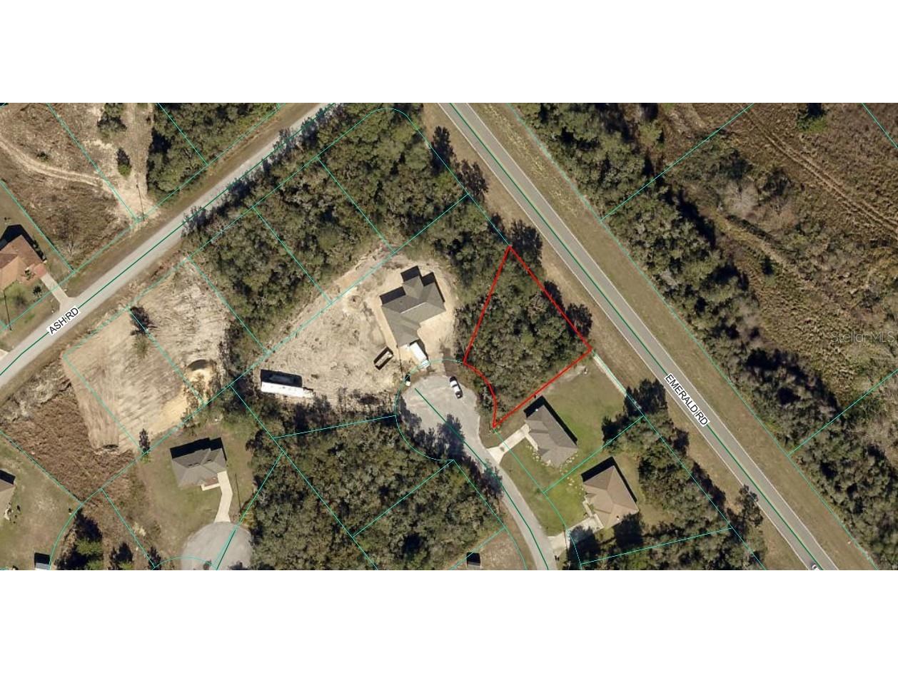 Ash Pass Run Ocala FL 34472 OM723933 image2