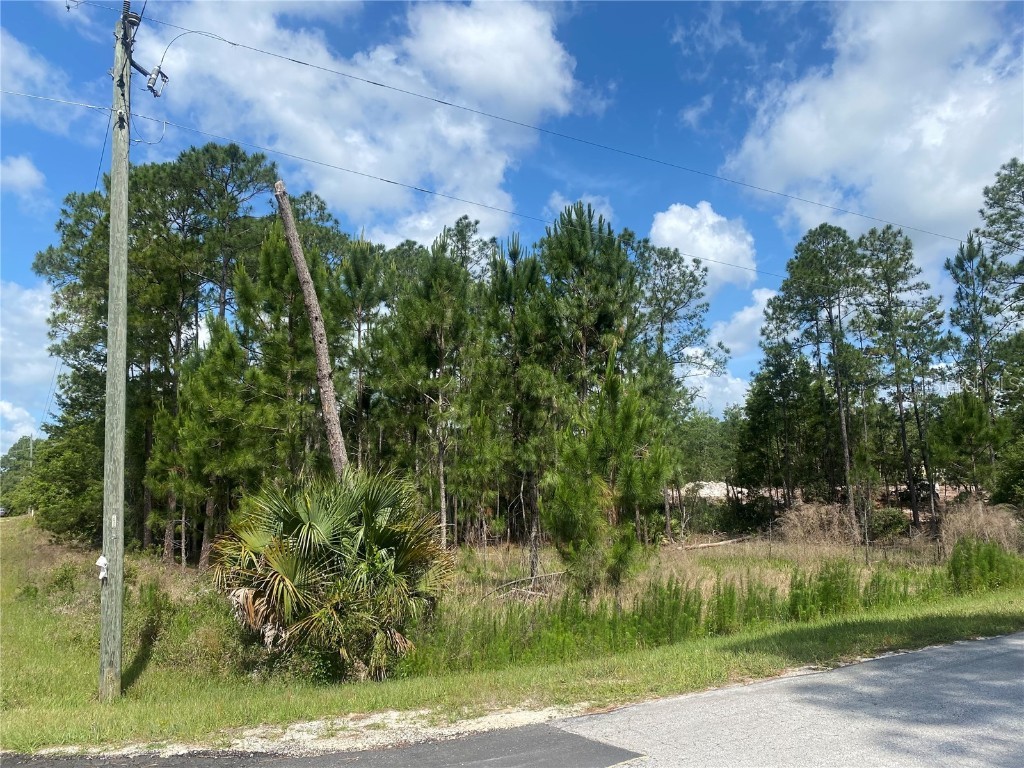 Aspen Street Eustis FL 32736 V4924283 image1