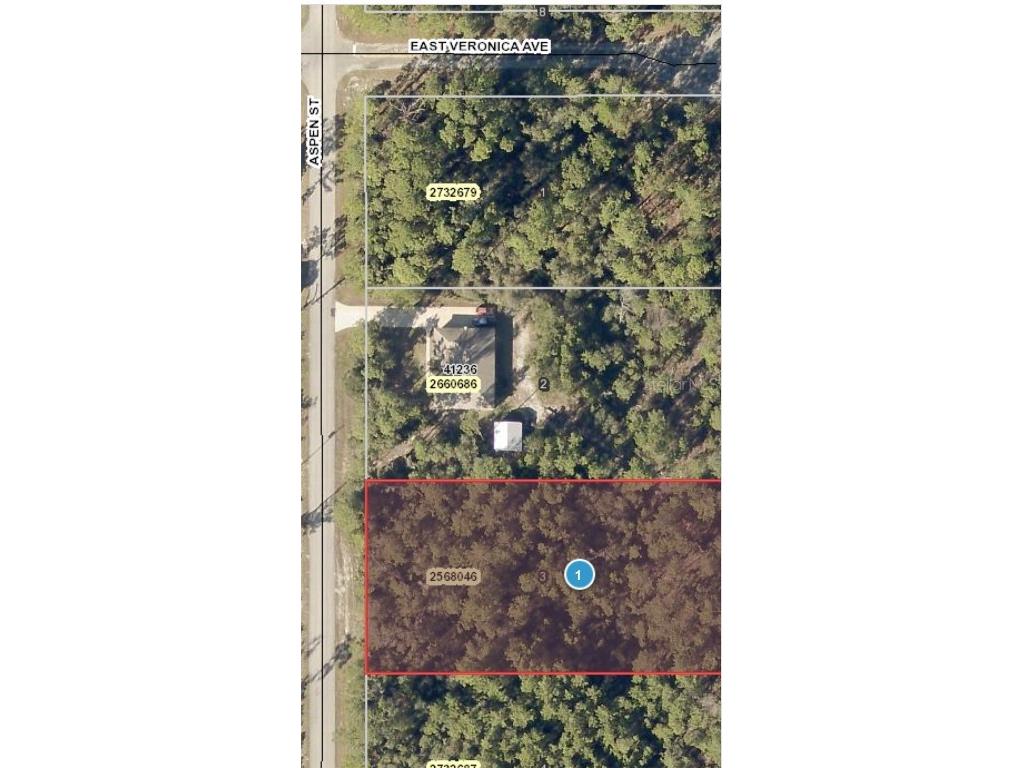 Aspen Street Eustis FL 32736 V4925766 image1