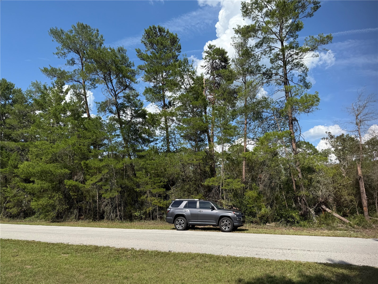 Aspen Street Eustis FL 32736 S5124433 image12