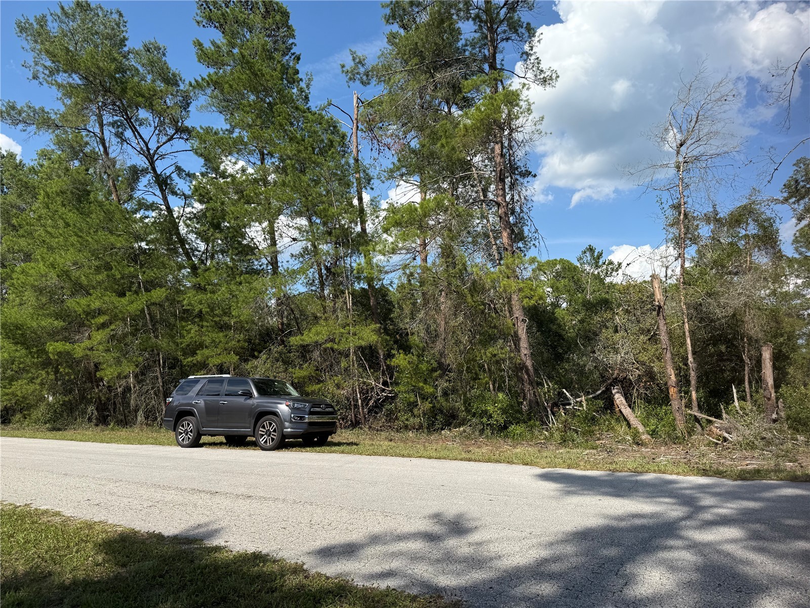 Aspen Street Eustis FL 32736 S5124433 image14
