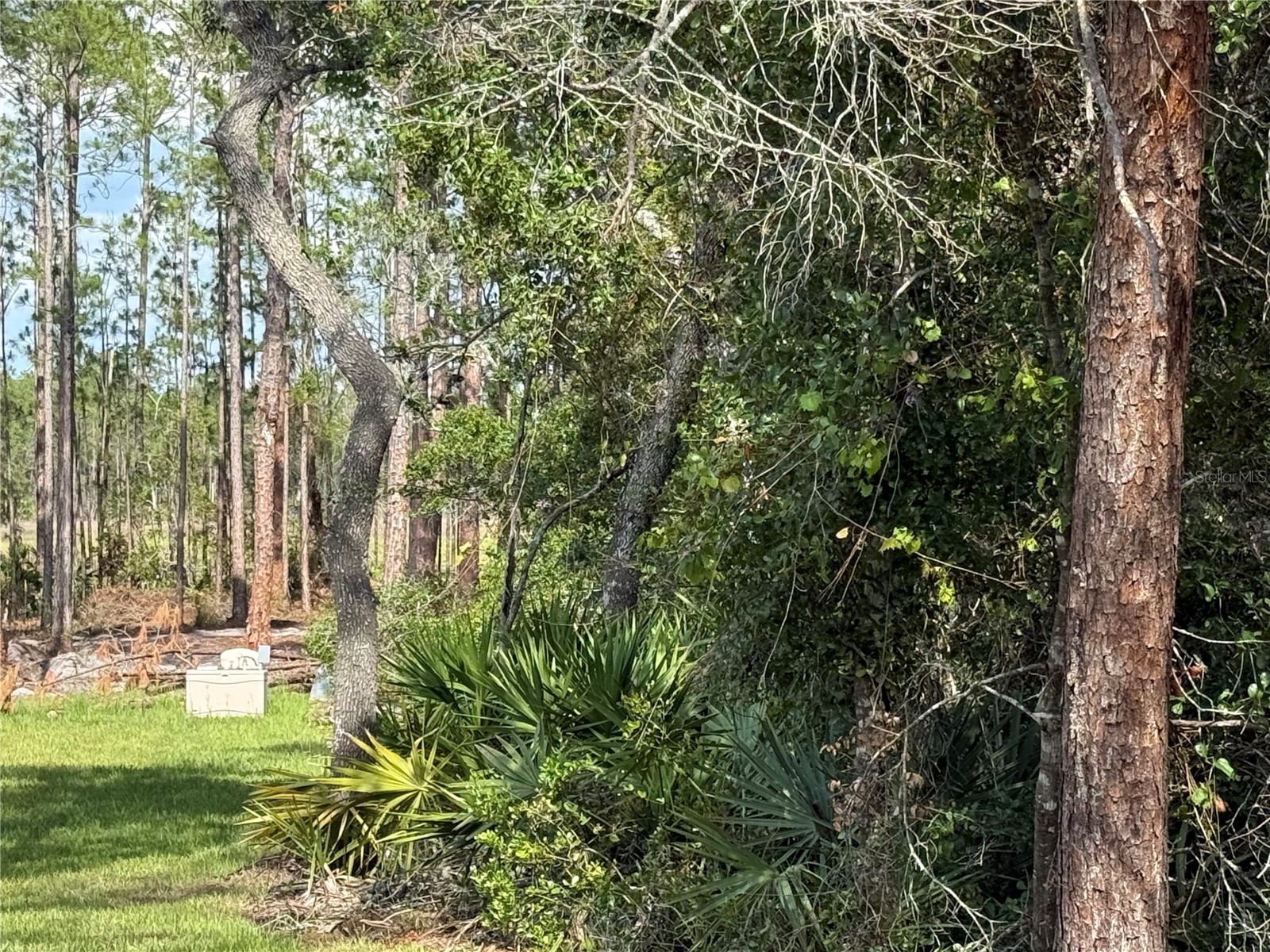 Aspen Street Eustis FL 32736 S5124433 image16