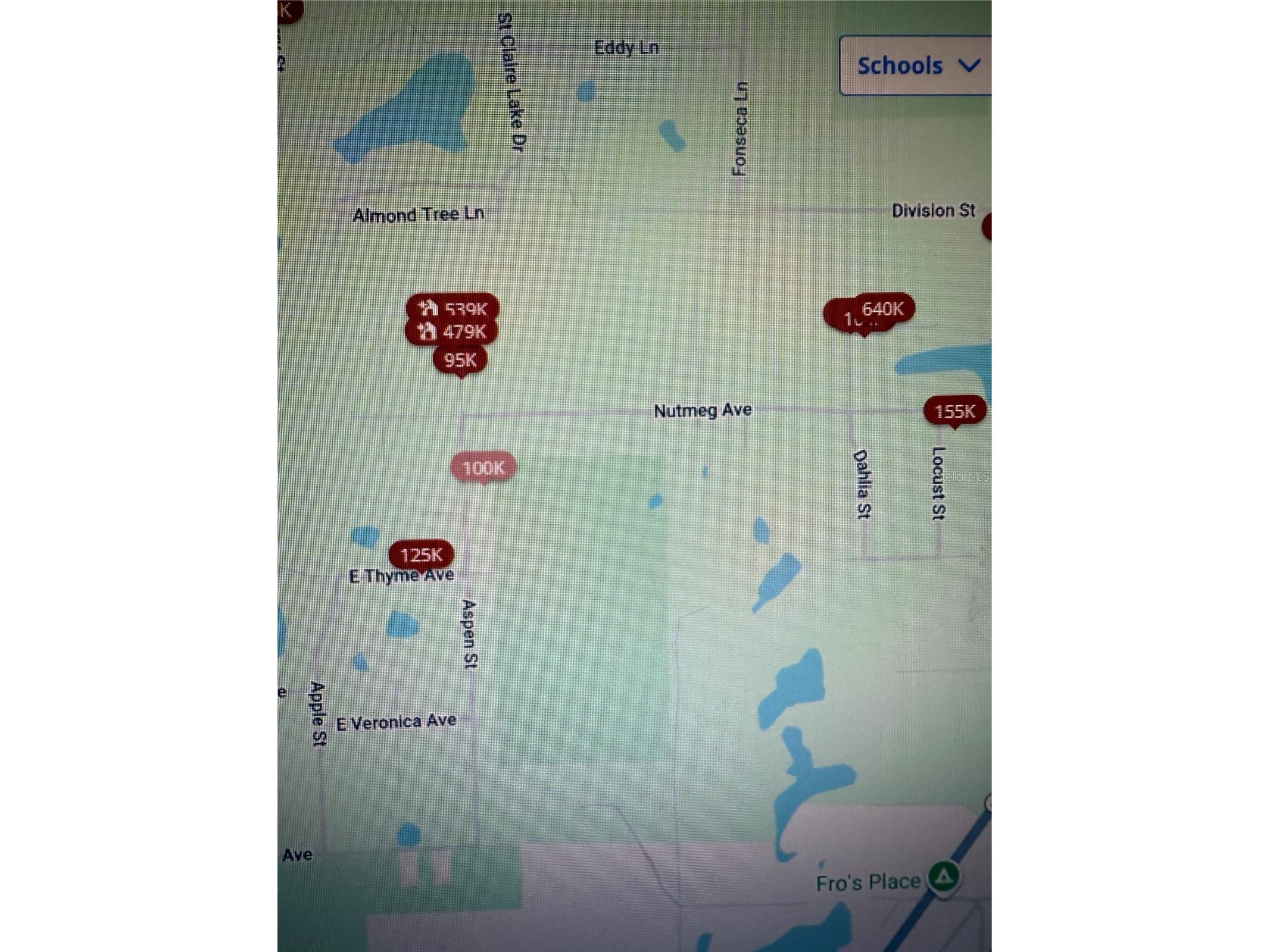 Aspen Street Eustis FL 32736 S5124433 image2