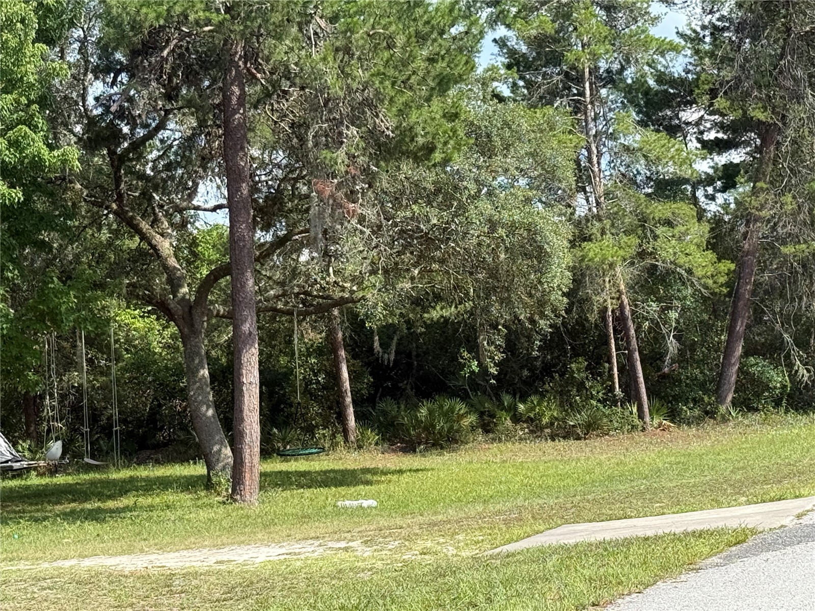 Aspen Street Eustis FL 32736 S5124433 image5
