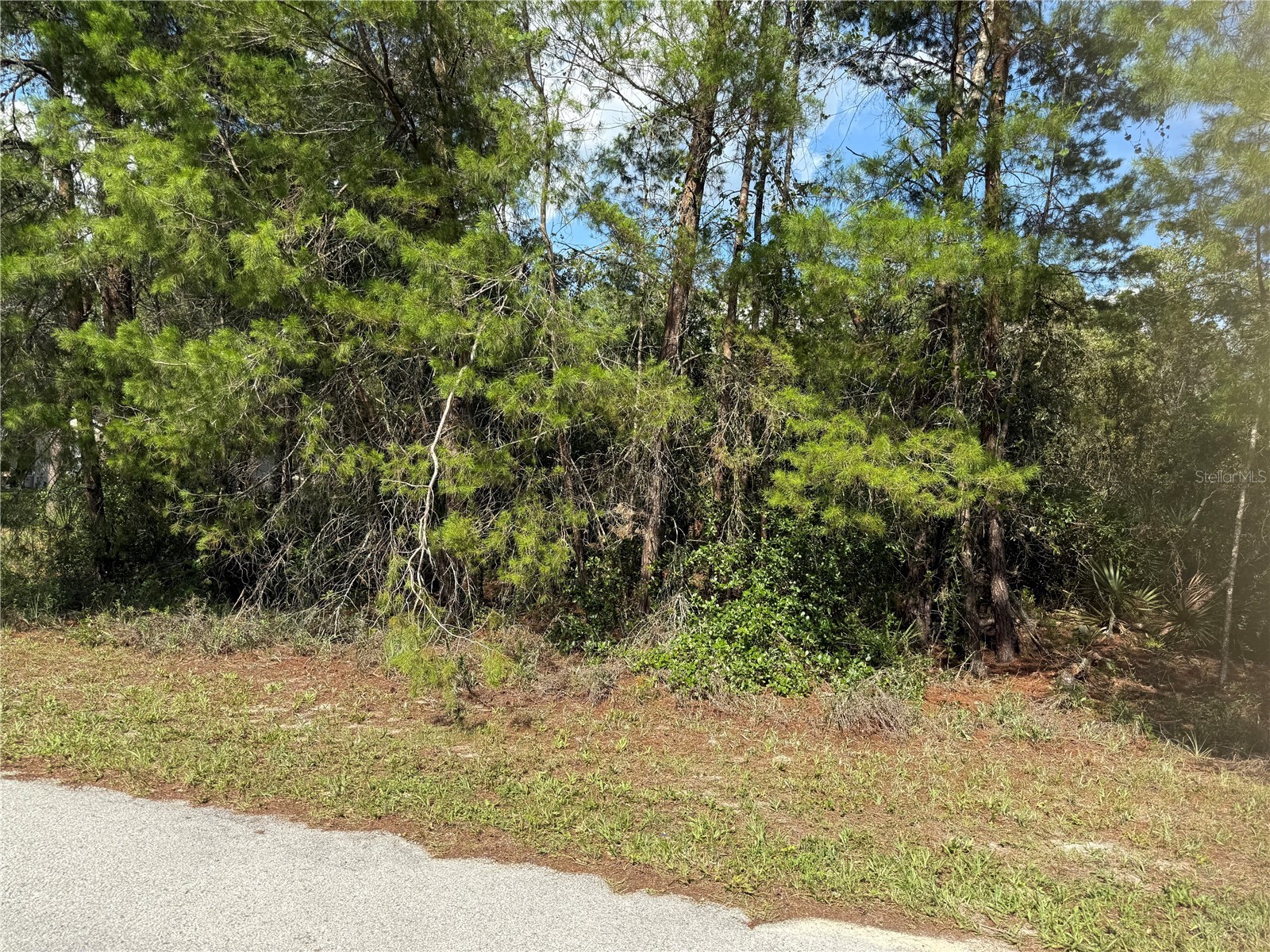 Aspen Street Eustis FL 32736 S5124433 image9