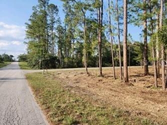 Aspen Street Eustis FL 32736 - LAKE NORRIS V4943237 image1