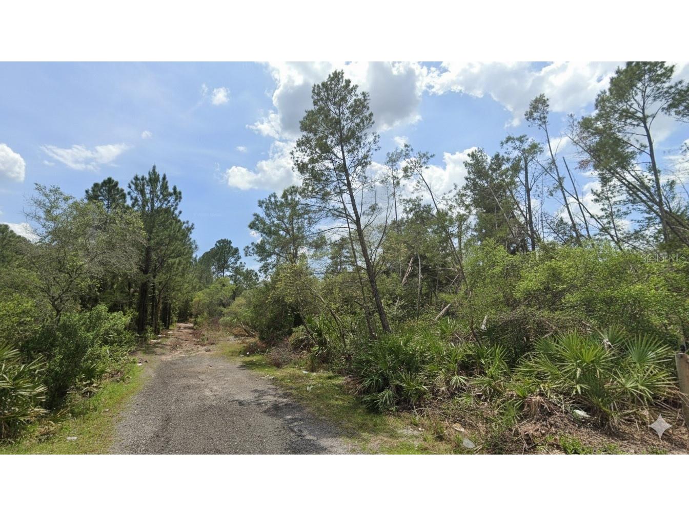 Aster Terrace Deland FL 32724 O6352327 image1