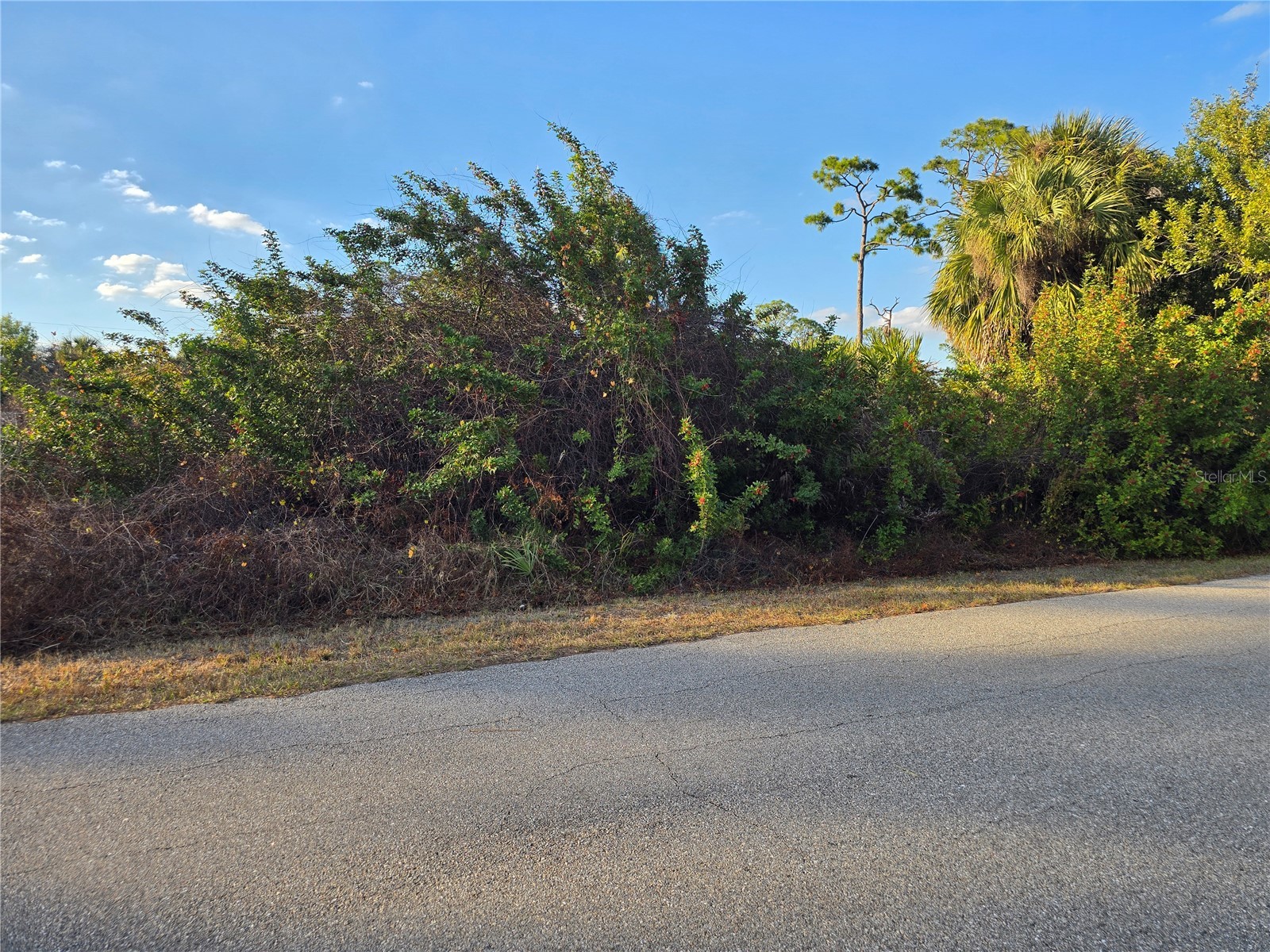 Athena Terrace North Port FL 34286 N6142994 image1